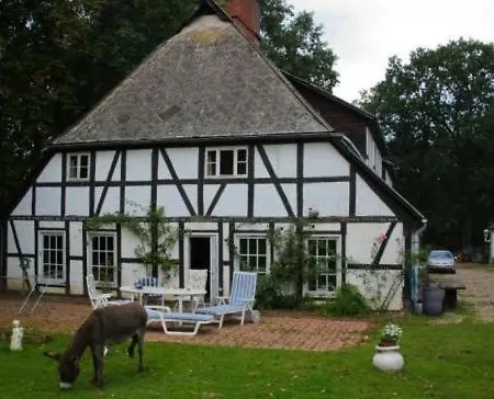 Witthof بيت ضيافة 4*