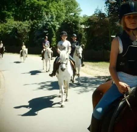 بيت ضيافة Witthof غيفهورن