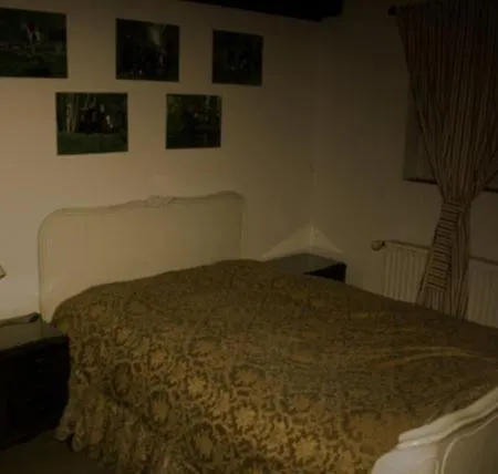 Witthof 4* غيفهورن