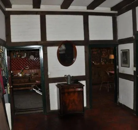 Witthof 4* غيفهورن