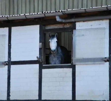 Witthof بيت ضيافة